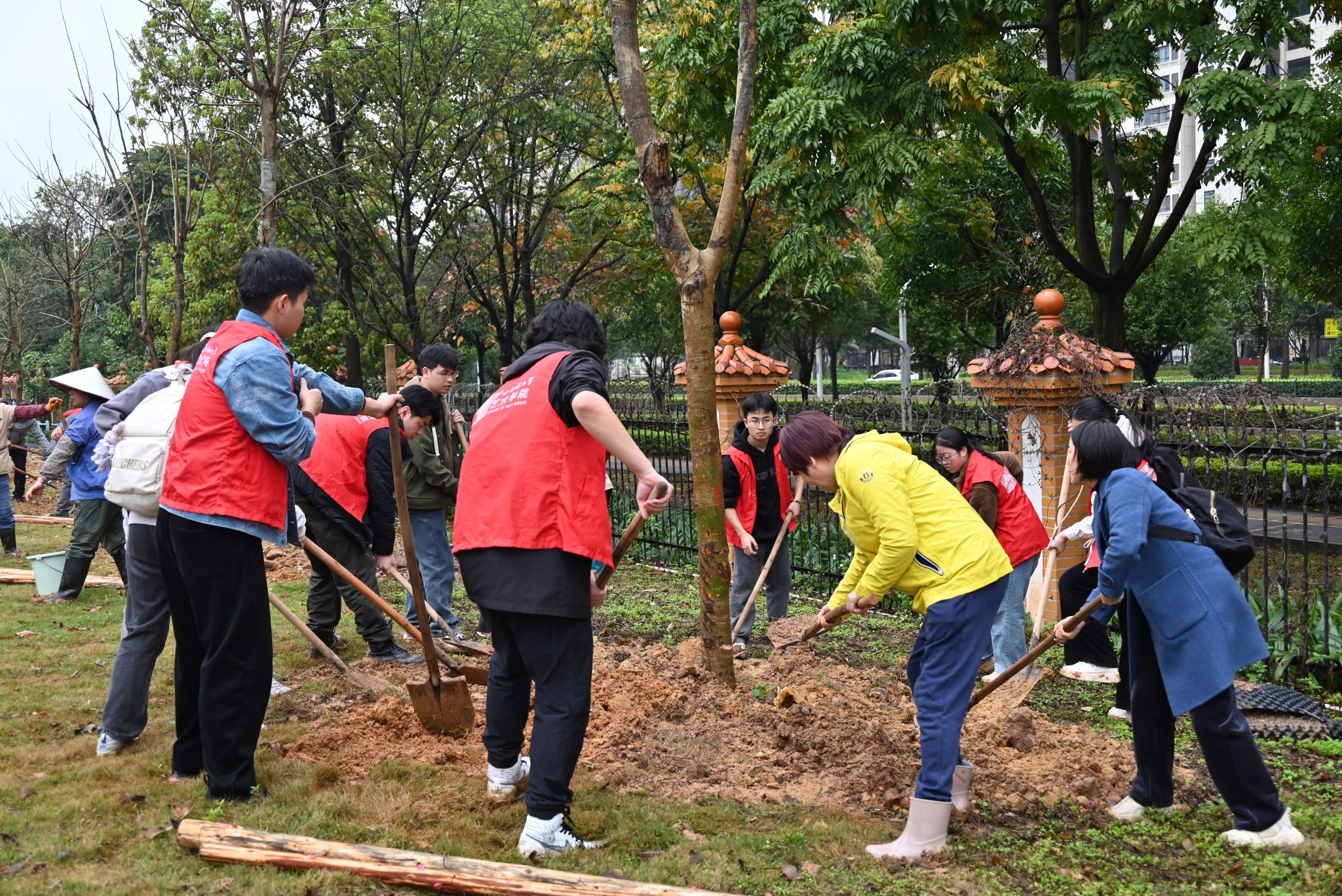 学校植树节活动美篇图片