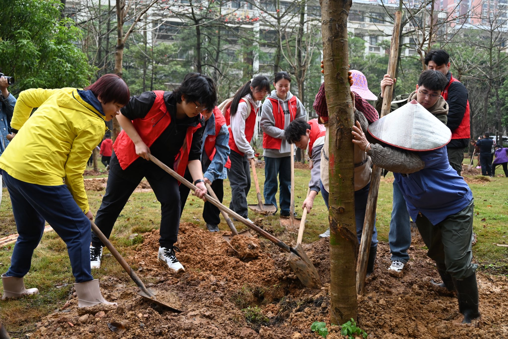 学校植树节活动美篇图片