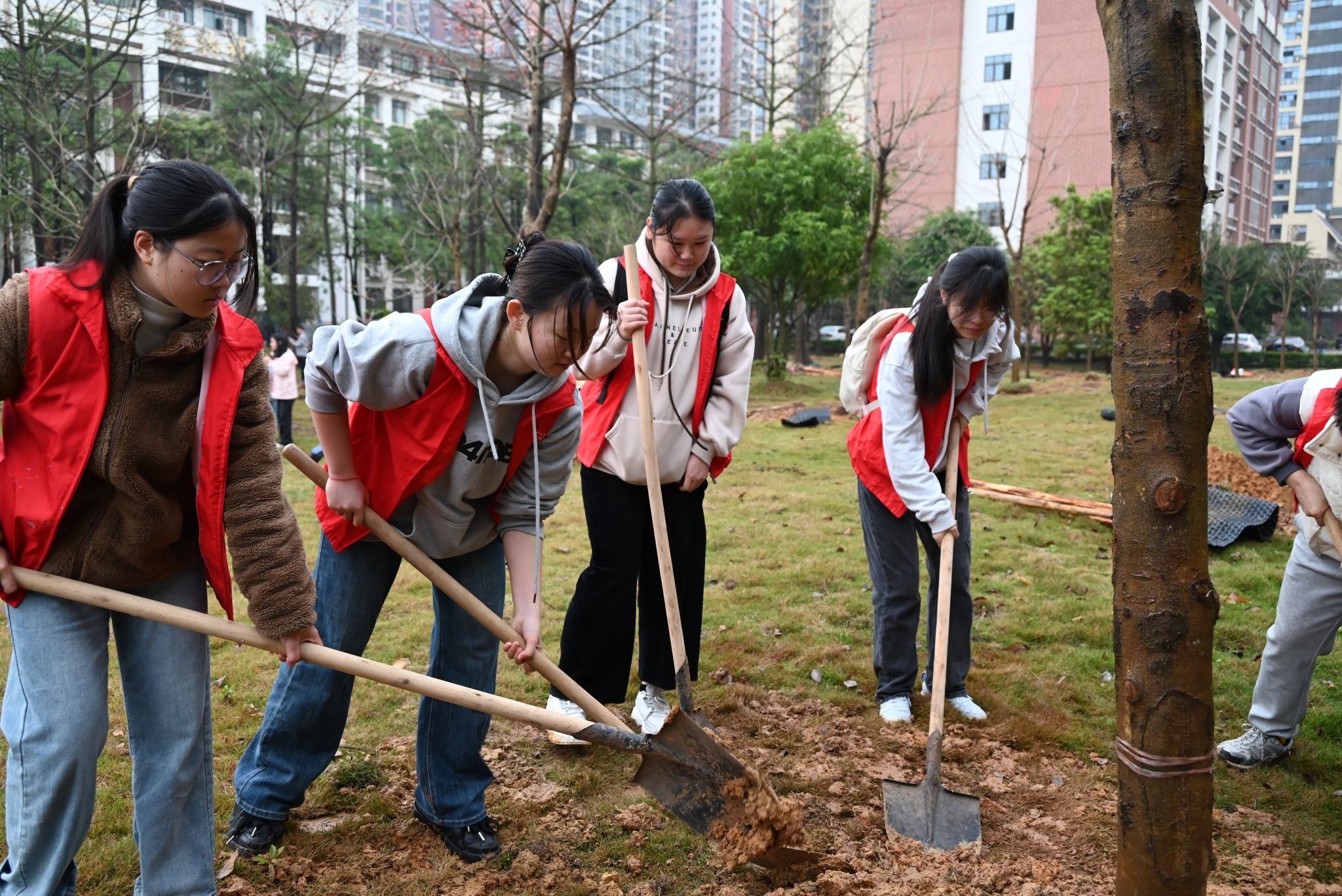 学校植树节活动美篇图片